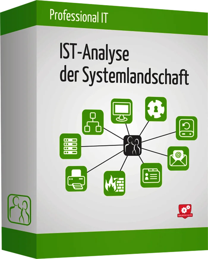 IT-Analyse Detail IT-Analyse Detail