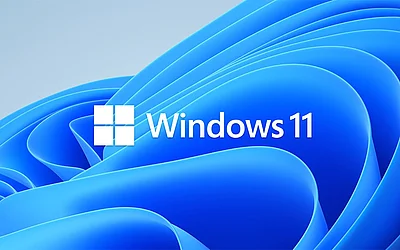 Windows 11 Header